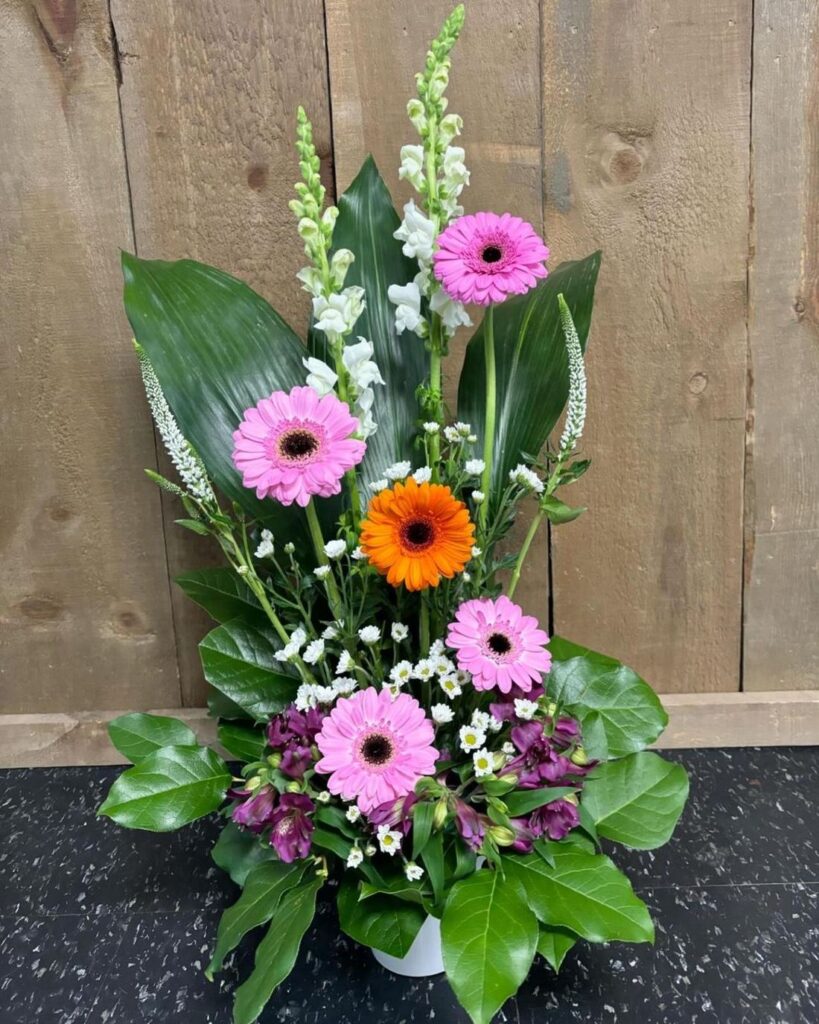 Arrangement of pink and orange gerberas with white snapdragons
