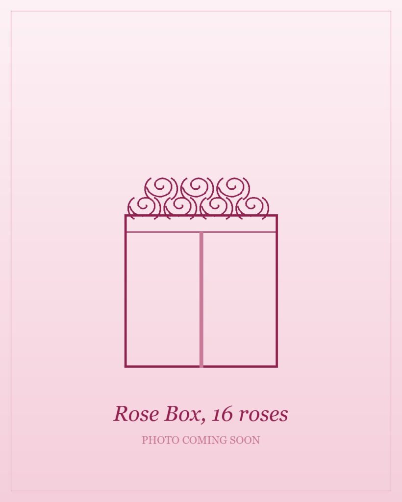 Large box of sixteen fresh roses