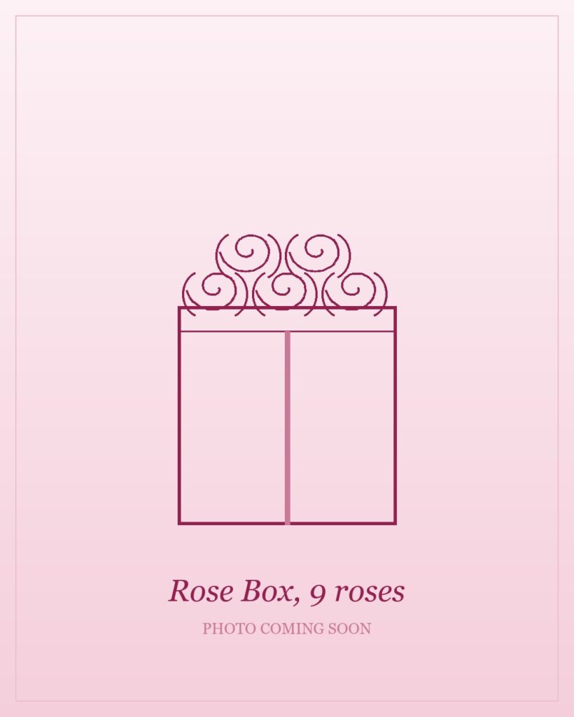 Square box of nine fresh roses